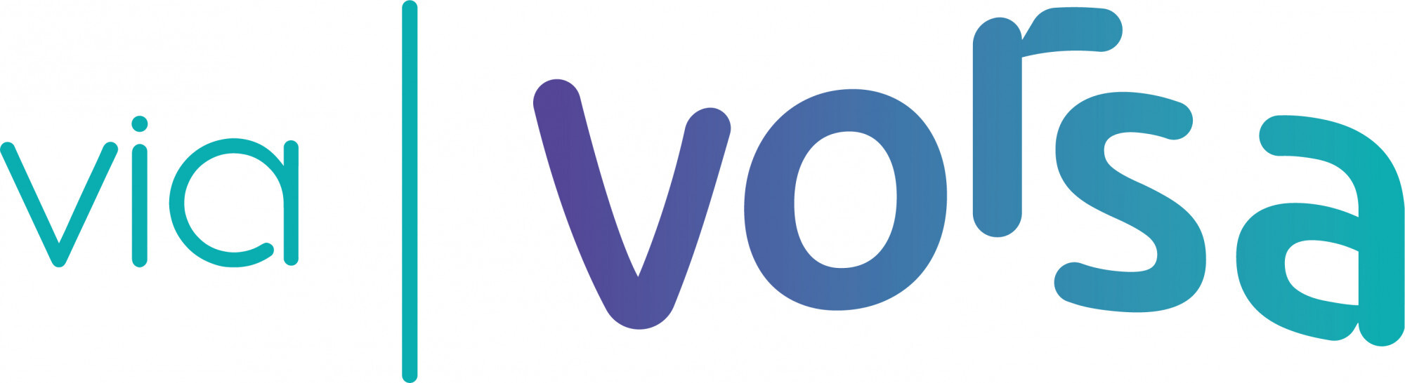 ViaVorsa_logo-2